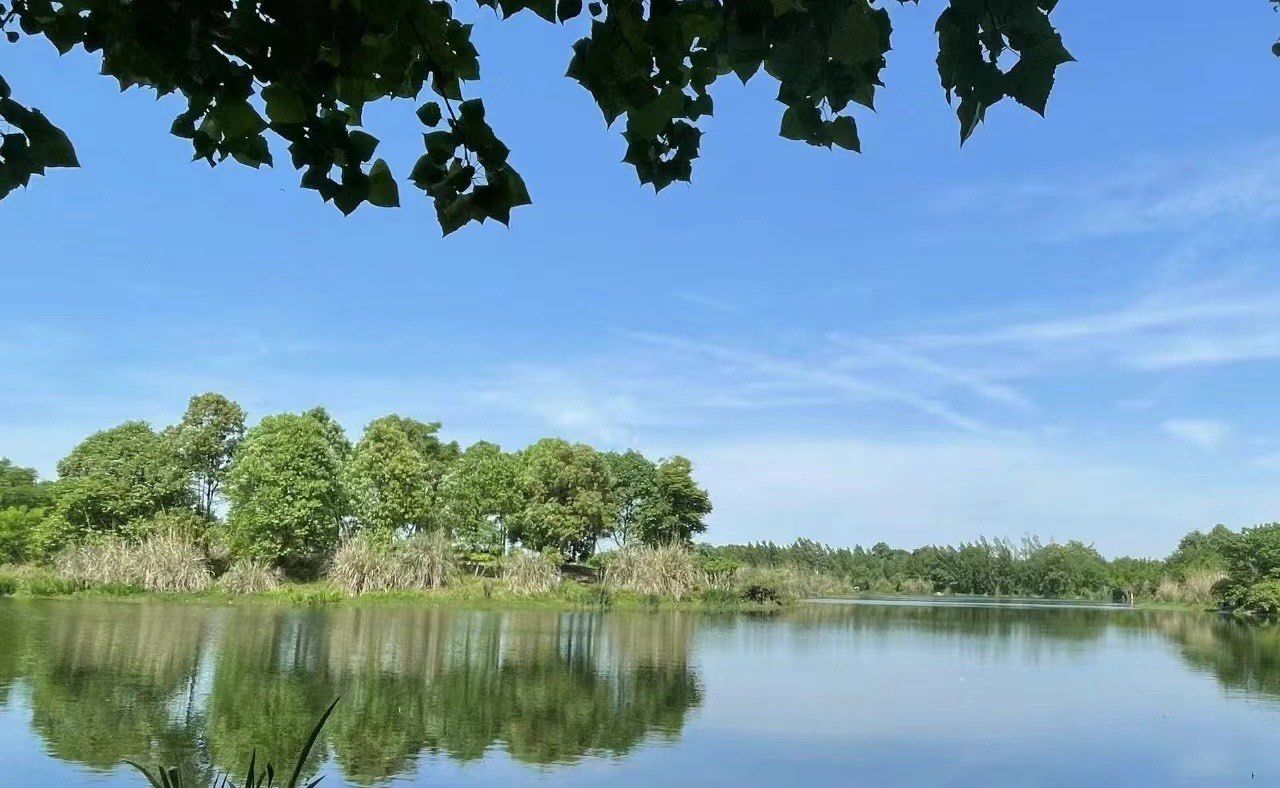 悠闲露营好去处—羊马湿地公园