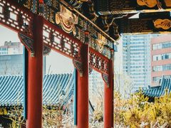 -迎泽公园