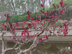 -元大都城垣遗址公园