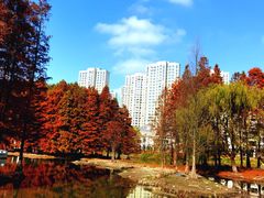 -白塘生态植物园