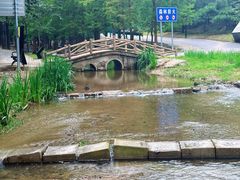 -白水寺森林公园