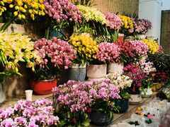 -双季花艺园艺市场(浦东店)