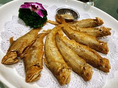 -金米箩大酒店(五角场店)