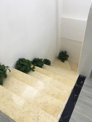 点击看大图 -蕾特恩专业祛痘·皮肤管理