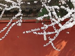 -西安市广仁寺