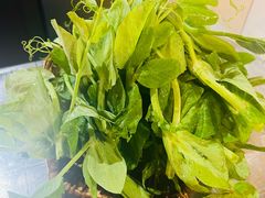 -小板凳(四公里店)