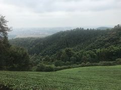 -敬亭山风景名胜区