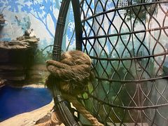 -合肥海洋世界