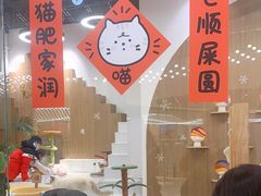-COLOR PETS 撸猫馆·购猫·猫咖(长风大悦城店)