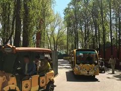 -合肥野生动物园