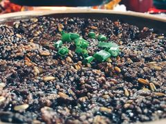 黑米锅巴-张关合渣(航空大道店)