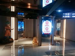 -上海金逸影城(静安大悦城店（原新恒星影城）)