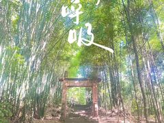 -凤栖山