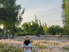-长广溪湿地公园
