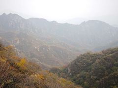 -大岭沟猕猴桃谷风景区