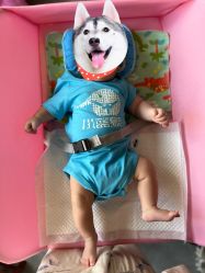 -小蓝象(五角场万达店)