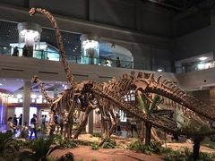-自贡恐龙博物馆