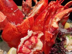 -db Bistro & Oyster Bar by Daniel Boulud(滨海湾金沙店)