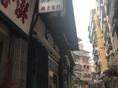 -洪馨椰子