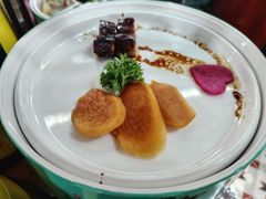 -广州都市观光巴士(粤陶巴)