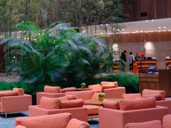 -北京望京凯悦酒店The Lounge大堂酒廊