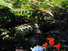 -丽泽山庄·生态怀柔菜·虹鳟鱼(红螺寺店)