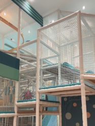 -奈尔宝家庭中心·亲子餐厅(鄞州万达店)