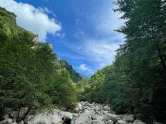 -青峰峡国家森林公园