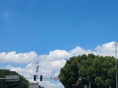 -王阿姨文昌油赞子(府桥街店)