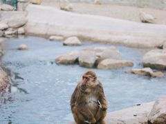 -大青山野生动物园