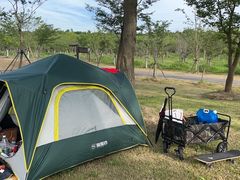 -上海海湾国家森林公园