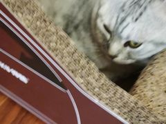 -H立方实景剧情密室(天河旗舰店)
