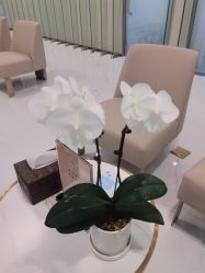 -Yestar艺星整形美容医院