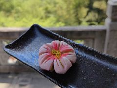 -韬光茶庵
