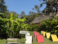 -大象粑粑造纸公园