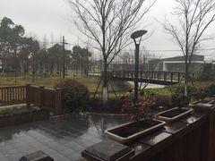 -上海多利农业发展有限公司