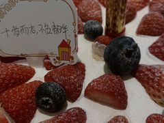 -糕小爱·动物奶油生日蛋糕定制(合肥总店)