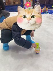 -Mr·Kuma酷么先生雪之乐园