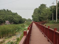 -御林古桑园