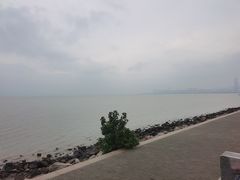 -深圳湾公园(南山区)