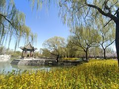 -达活泉公园