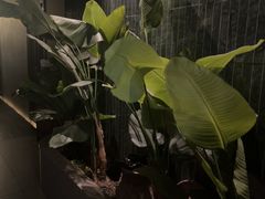 -涟LIAN·泰式按摩·MASSAGE·SPA(华强北店)