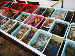 -南蚝小贝海鲜特色餐厅(南澳岛店)