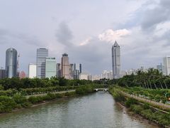 -万绿园