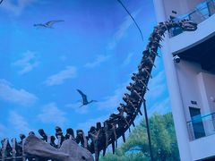 -辽宁古生物博物馆