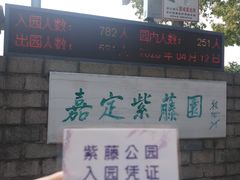 -嘉定紫藤园