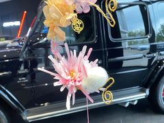 -奔驰上海利星(七宝店)