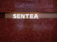 -森茶(湛江万达店)