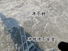 -绿野森林乐园冰雪季