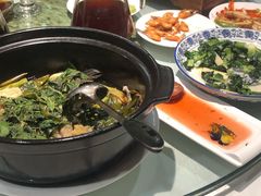 金不换焗笋壳鱼-申粤轩酒楼·三十年粤菜经典(丁香花园店)